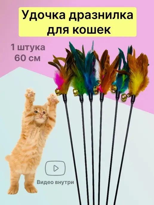 AnimalToys | Дразнилка для кошек 1 штука