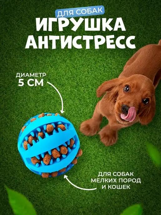 for cats&dogs | Игрушка Мяч для собак и кошек