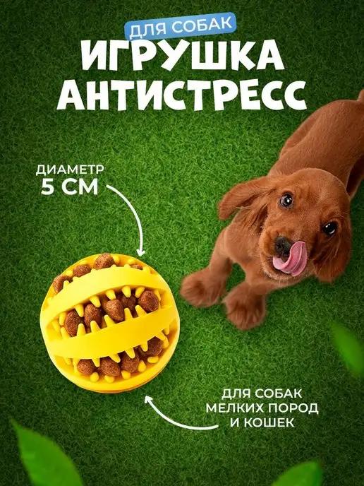 for cats&dogs | Игрушка Мяч для собак