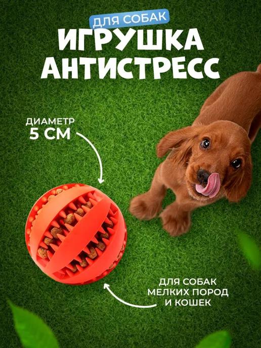 for cats&dogs | Игрушка для собак мяч