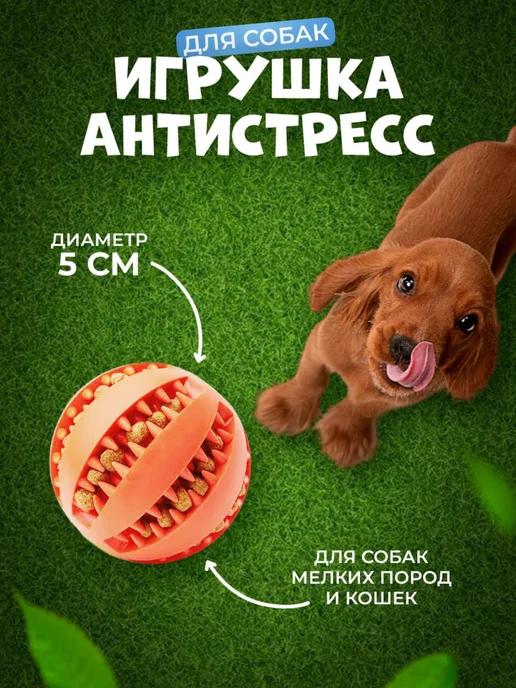 for cats&dogs | Игрушка для собак