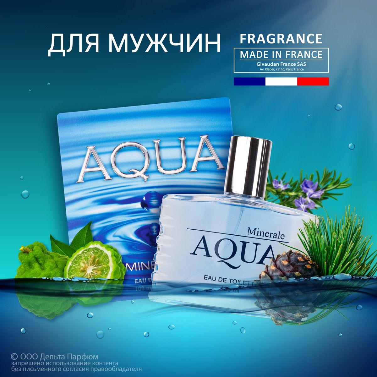 Delta Parfum | Туалетная вода мужская Aqua Minerale 100 мл. Подарок мужчине, свежие духи