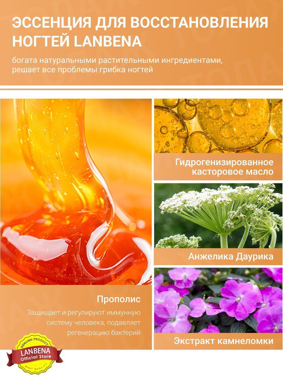 https://cdn1.ozone.ru/s3/multimedia-c/6609921384.jpg