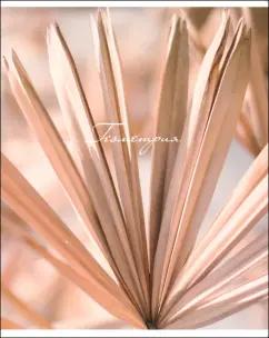https://imo10.labirint.ru/books/1016501/cover.jpg/242-0