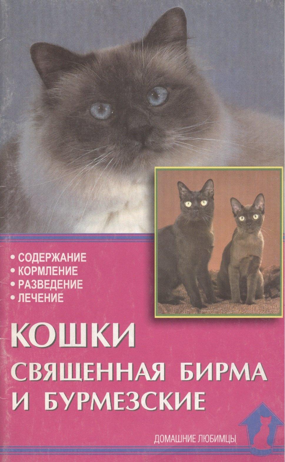 Аквариум | Кошки священная бирма и бурмезские