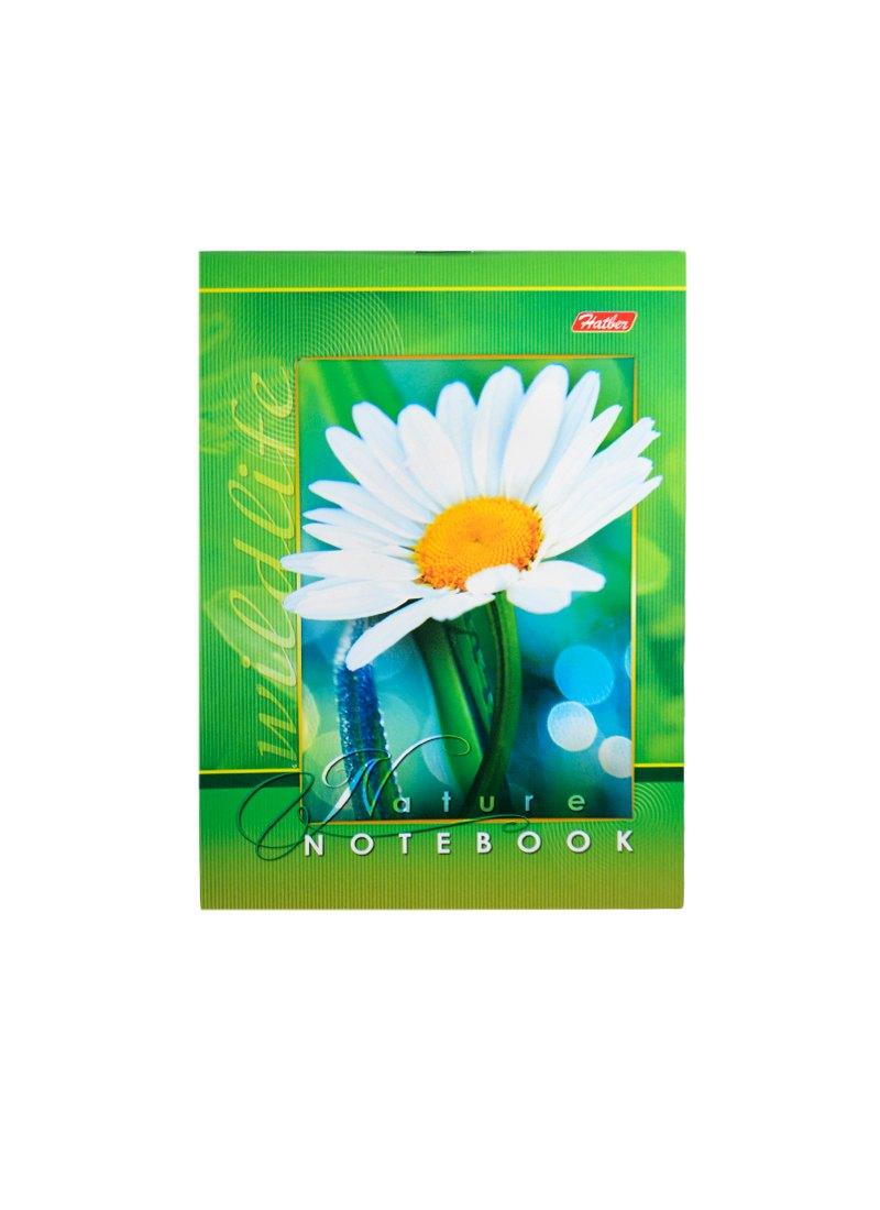 https://ndc.book24.ru/pim/products/images/04/40/018ed2f7-8e50-7b50-ab35-a0816dd00440.jpg