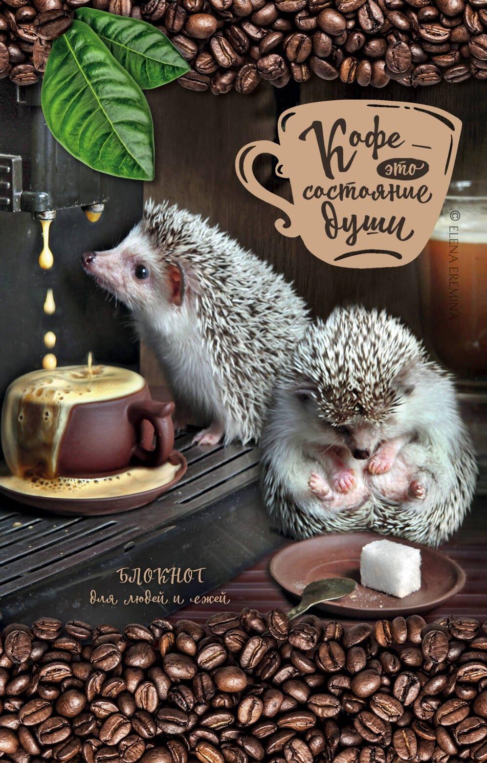 https://ndc.book24.ru/pim/products/images/11/42/019ac90e-afb8-7926-89cd-eeb3c1a61142.jpg