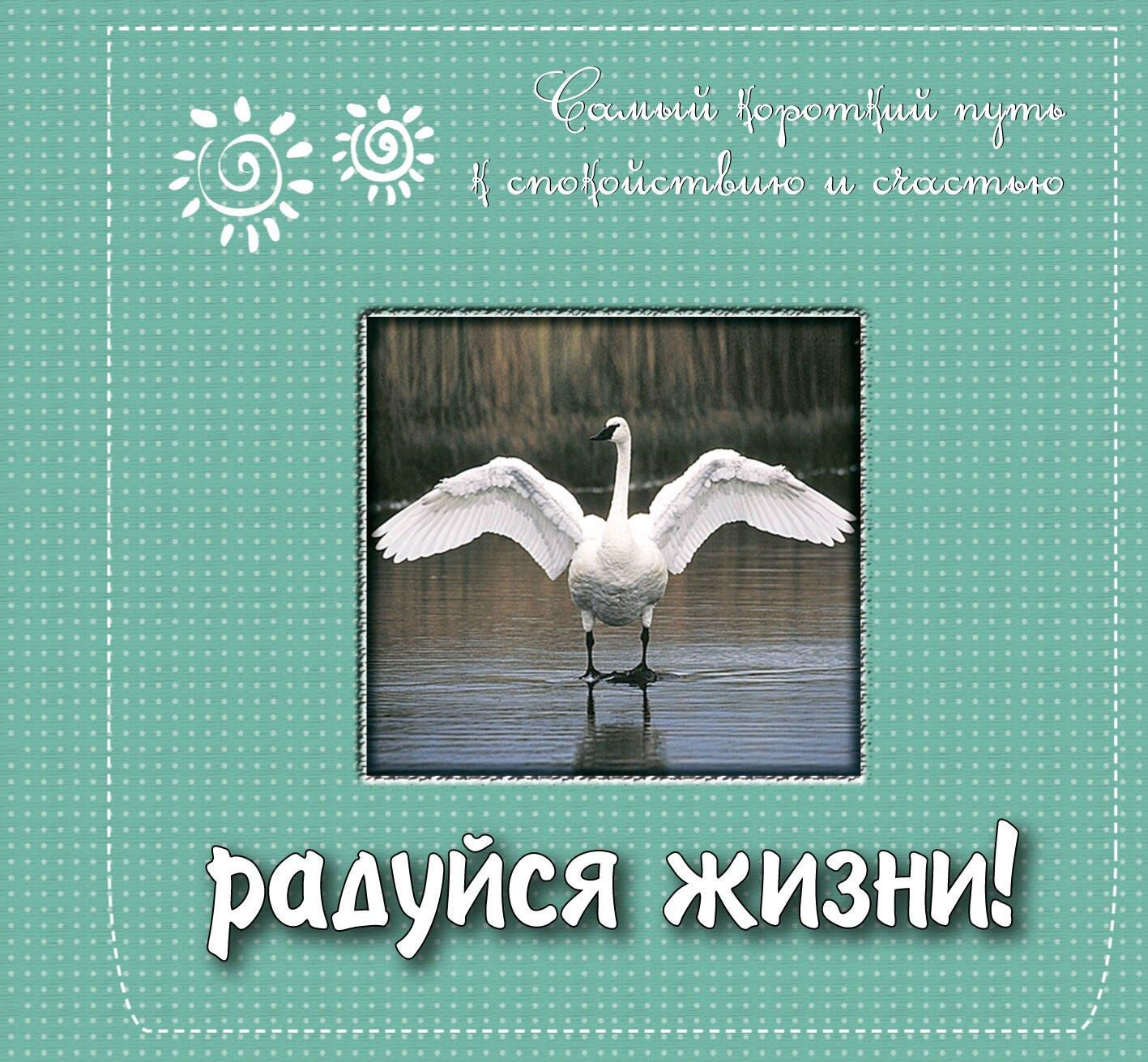https://ndc.book24.ru/pim/products/images/11/73/01940b67-cf92-79df-92db-29785e9a1173.jpg