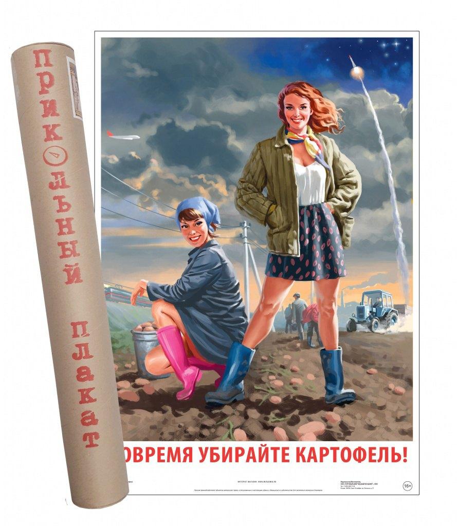https://ndc.book24.ru/pim/products/images/15/cb/018ee79d-143c-77d9-aec4-39f5f60f15cb.jpg