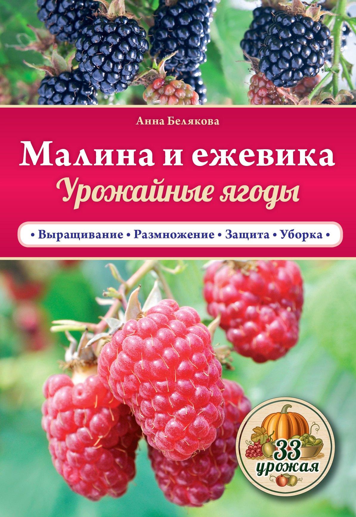 https://ndc.book24.ru/pim/products/images/16/98/019390ee-62b6-7714-a136-d54bc76c1698.jpg