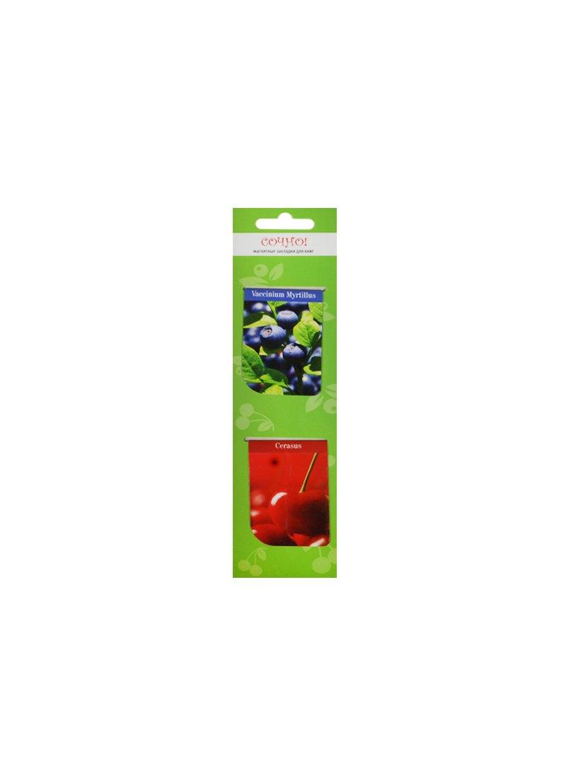 https://ndc.book24.ru/pim/products/images/1c/a5/018edab7-fb73-776c-b292-7f6f5ec51ca5.jpg
