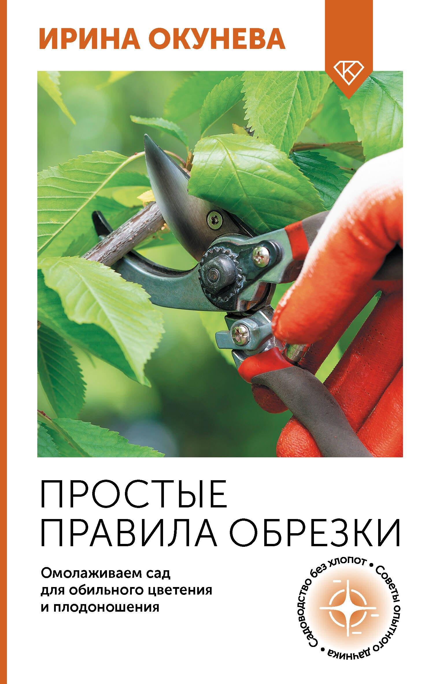 https://ndc.book24.ru/pim/products/images/1d/40/019487a9-594a-756d-b6de-73d0db0b1d40.jpg