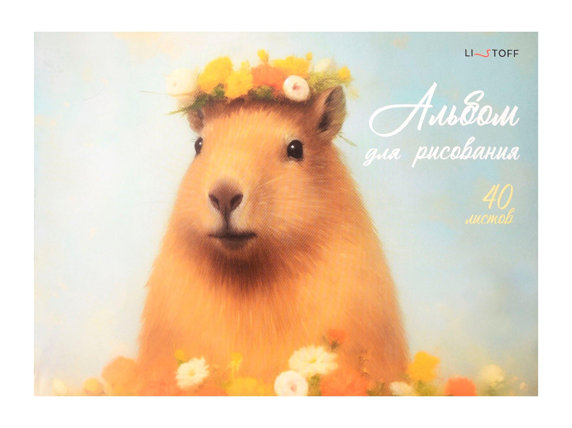 https://ndc.book24.ru/pim/products/images/2d/63/0198030c-9fe4-786a-8b5d-fbbf5c062d63.jpg