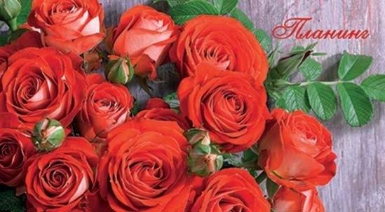 https://ndc.book24.ru/pim/products/images/2d/b1/018ed317-066f-7fe6-8c72-291de7682db1.jpg