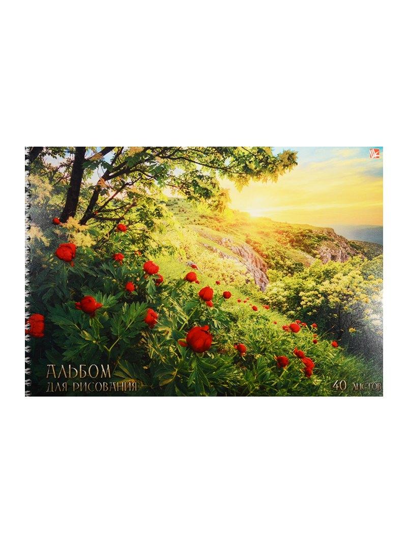 https://ndc.book24.ru/pim/products/images/36/d1/018ed311-c79f-7c1b-b7b6-f0a4532836d1.jpg