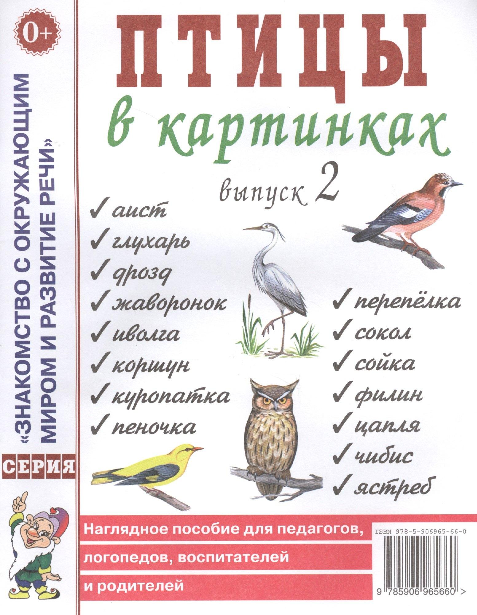 Гном | Птицы в картинках. Выпуск 2. Наглядное пособие для педагогов, логопедов, воспитателей и родителей