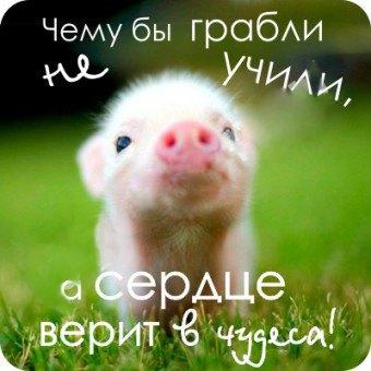 https://ndc.book24.ru/pim/products/images/39/b8/0194059f-cf6d-7b21-baa4-86965eb239b8.jpg