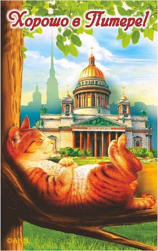 https://ndc.book24.ru/pim/products/images/40/02/018ed407-39b1-7e60-bfcb-192273234002.jpg
