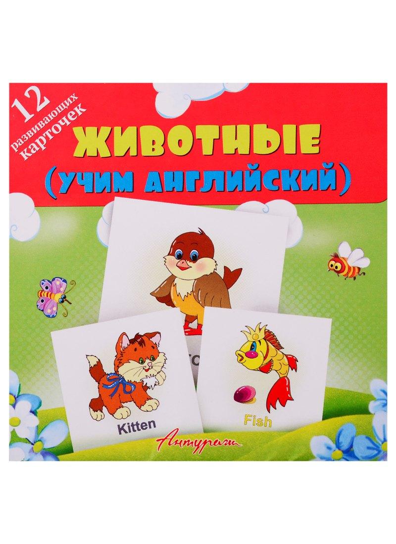 Антураж | Животные (учим английский). Развивающие карточки
