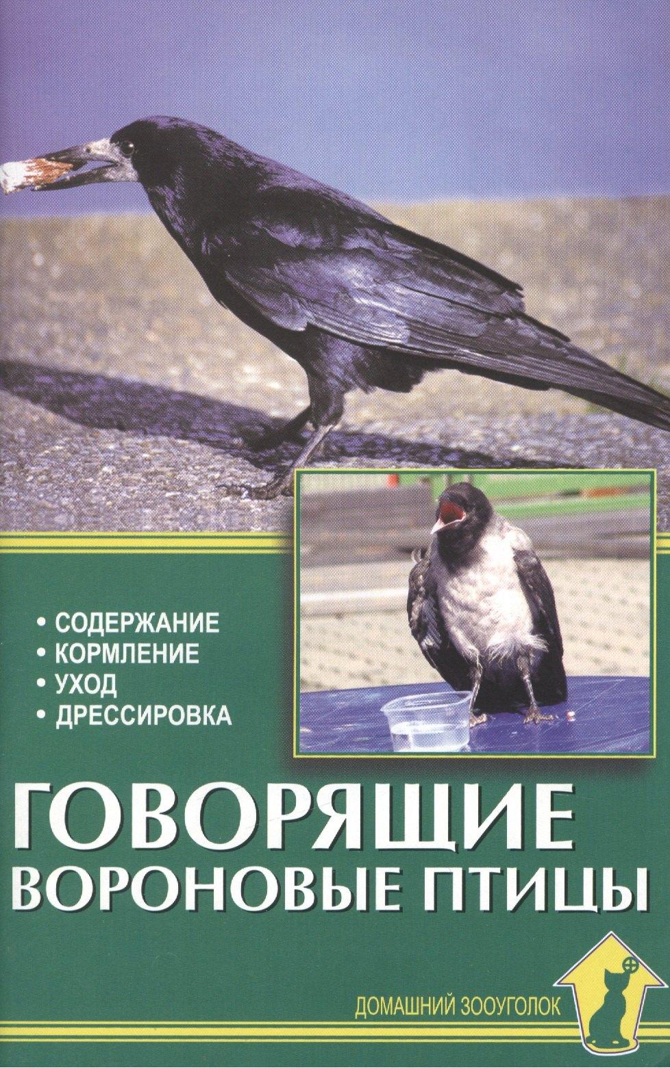 Аквариум | Говорящие вороновые птицы
