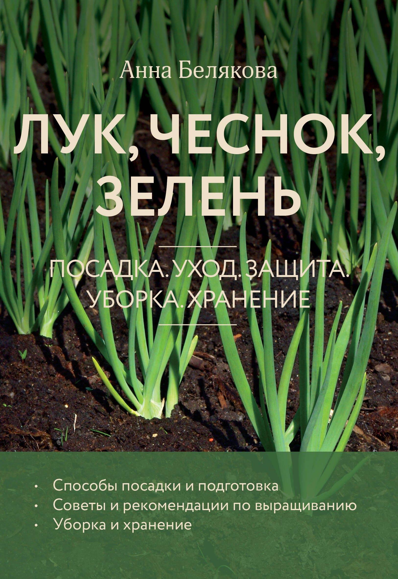 https://ndc.book24.ru/pim/products/images/4a/e0/01944f04-00f9-7333-832c-b3a76f464ae0.jpg
