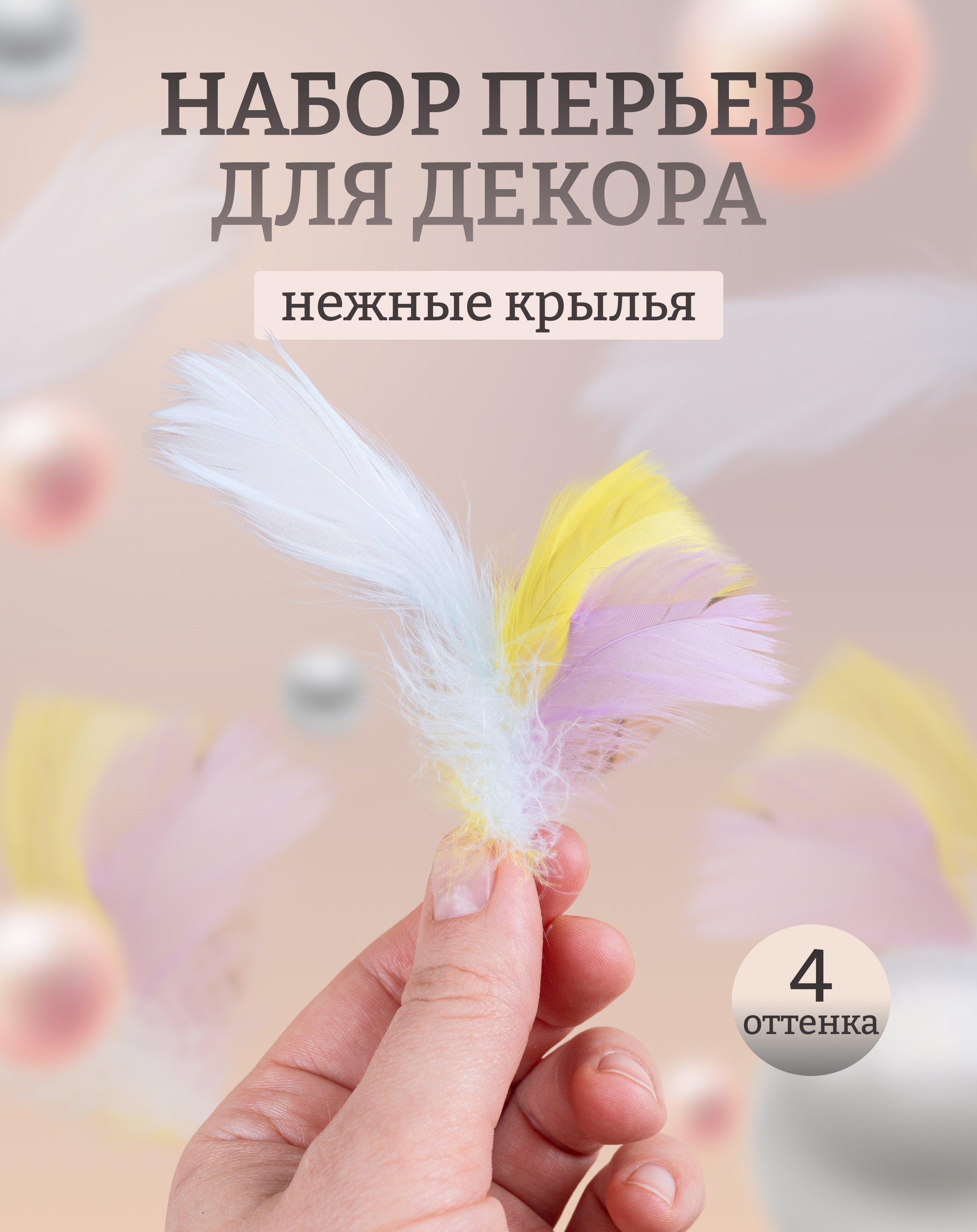 https://ndc.book24.ru/pim/products/images/4b/e1/0197c216-96cb-7cf6-b067-3fdc43d84be1.jpg