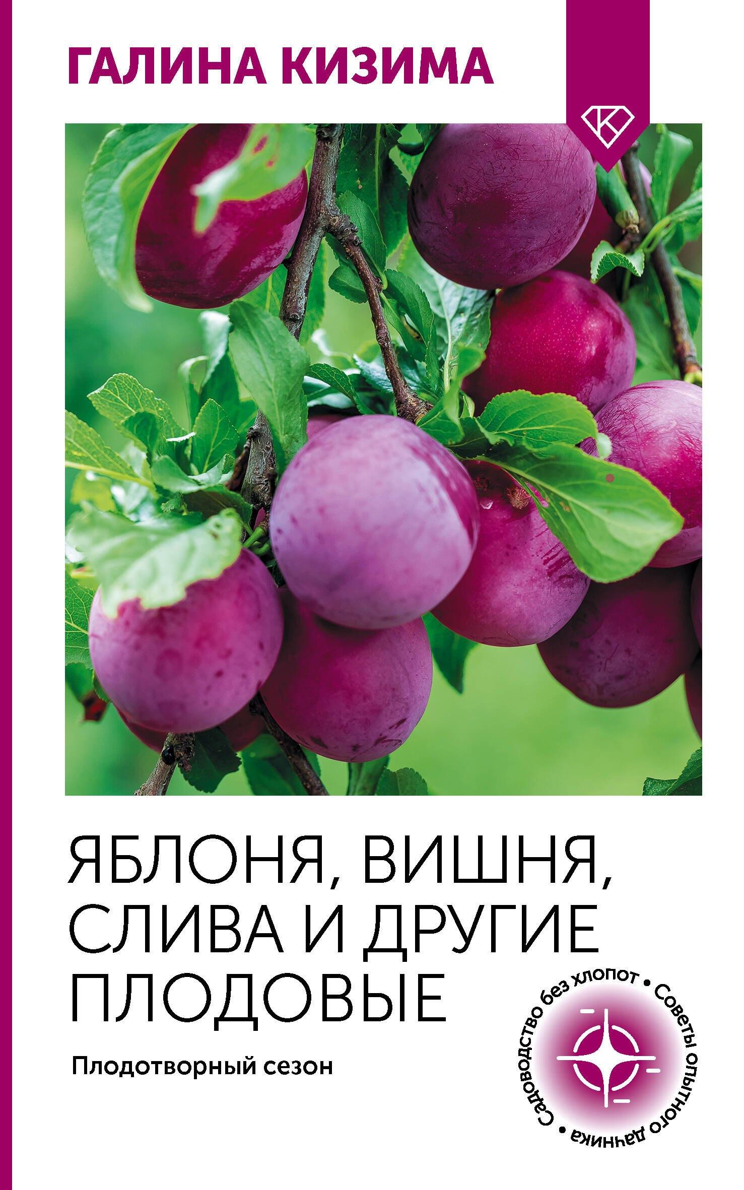 https://ndc.book24.ru/pim/products/images/4c/bb/019a7c57-6779-7099-a61d-0684e1fe4cbb.jpg