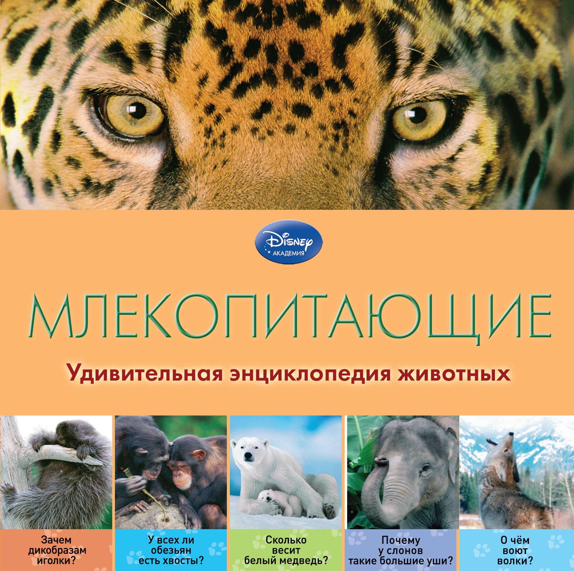 https://ndc.book24.ru/pim/products/images/4c/c0/01907c85-a014-76d9-b6b4-48d7a4504cc0.jpg
