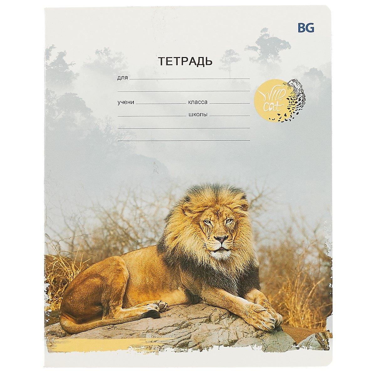 https://ndc.book24.ru/pim/products/images/4d/c3/018ed35a-366b-764c-856f-a90035874dc3.jpg