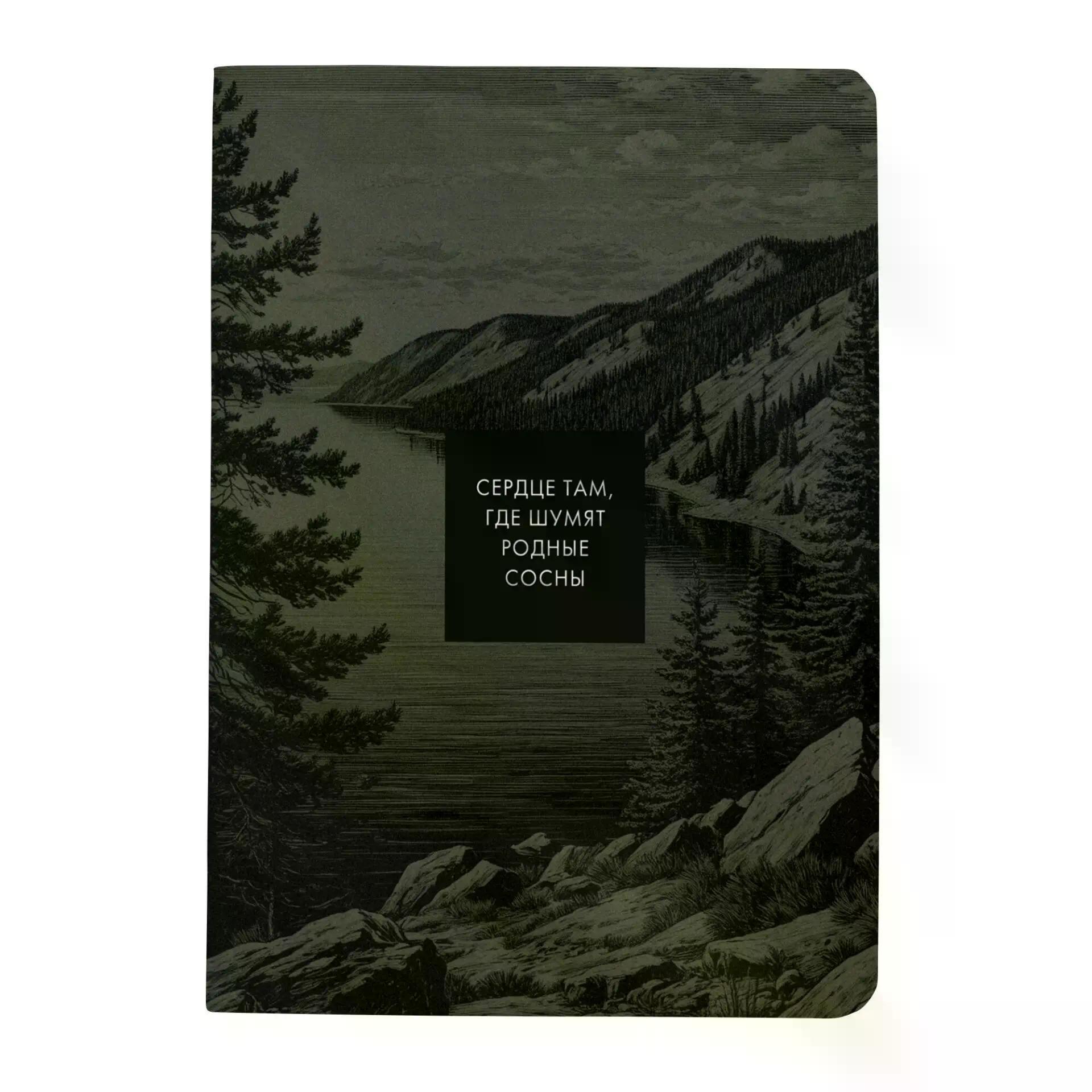 https://ndc.book24.ru/pim/products/images/50/e2/019bc749-61ae-75d8-95d0-9ced09b750e2.jpg