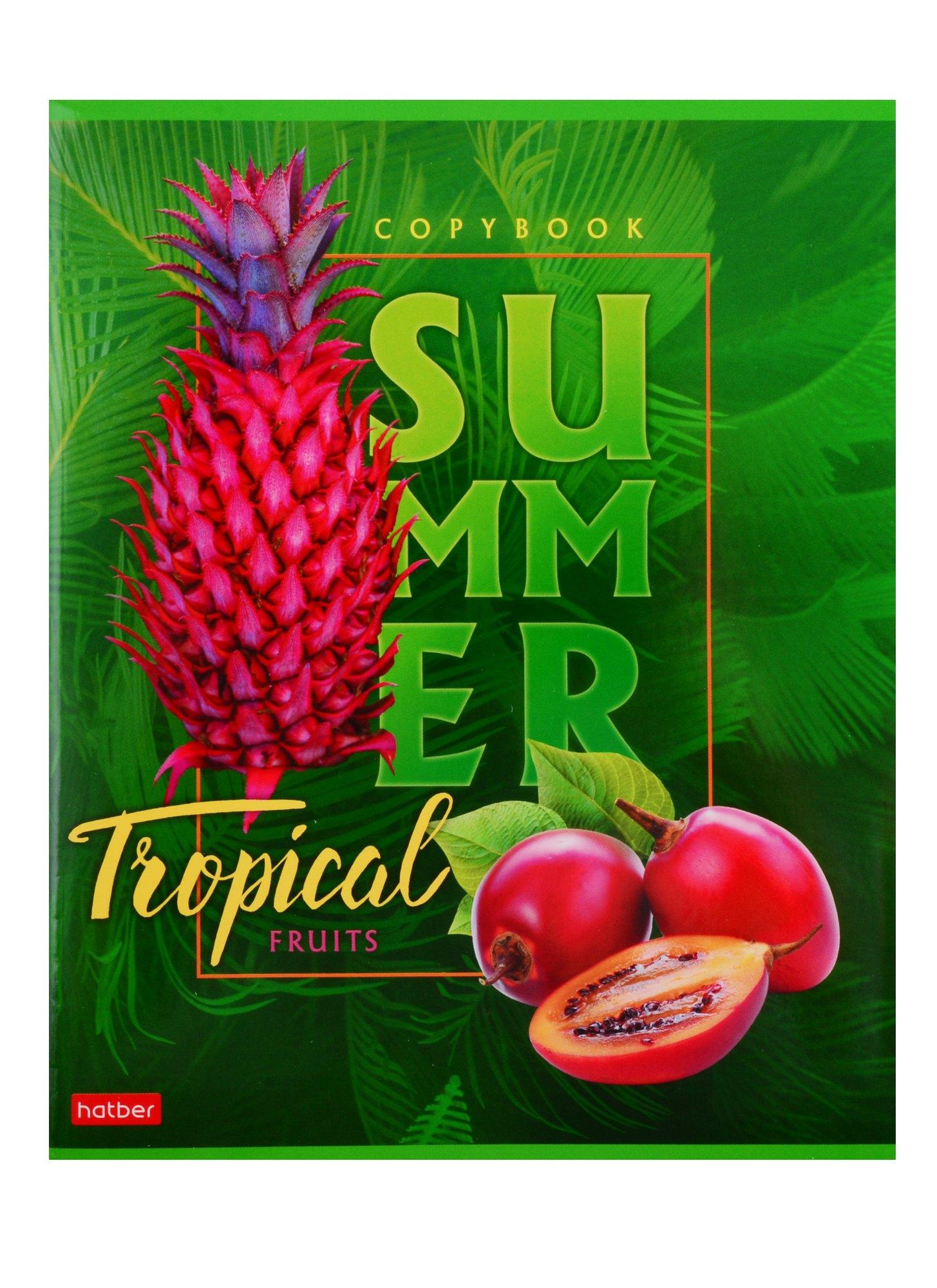 https://ndc.book24.ru/pim/products/images/51/c3/018ed38c-0b28-74da-83d4-bec8c26651c3.jpg