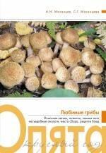https://ndc.book24.ru/pim/products/images/54/85/0199e86f-abb4-7fdf-a7c3-28dd62a85485.jpg