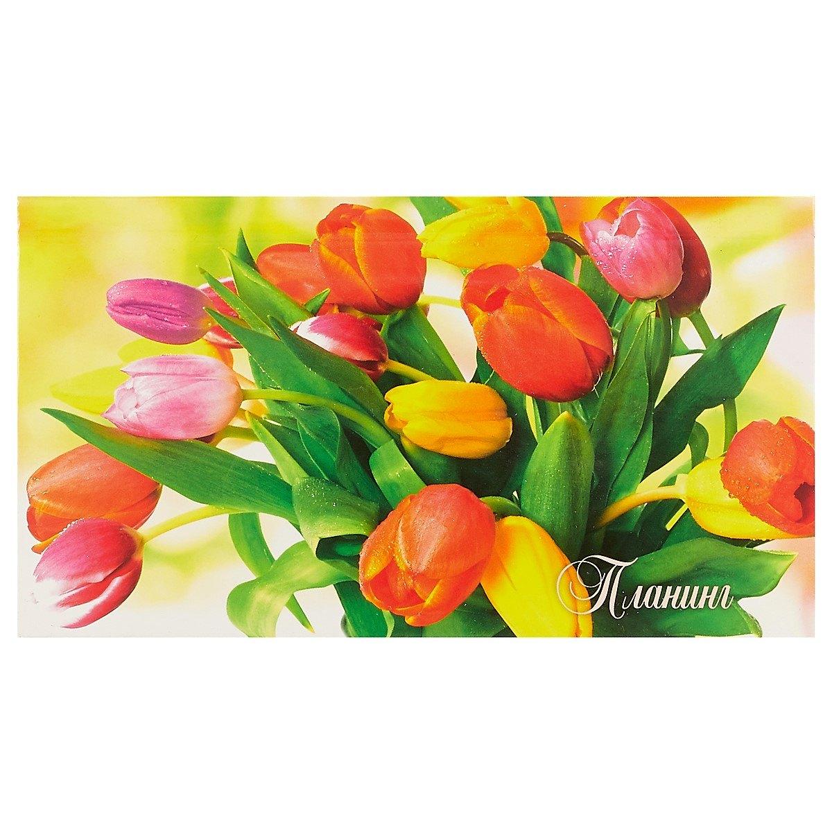https://ndc.book24.ru/pim/products/images/55/da/018ed341-0e35-7f9b-b948-76ed758855da.jpg