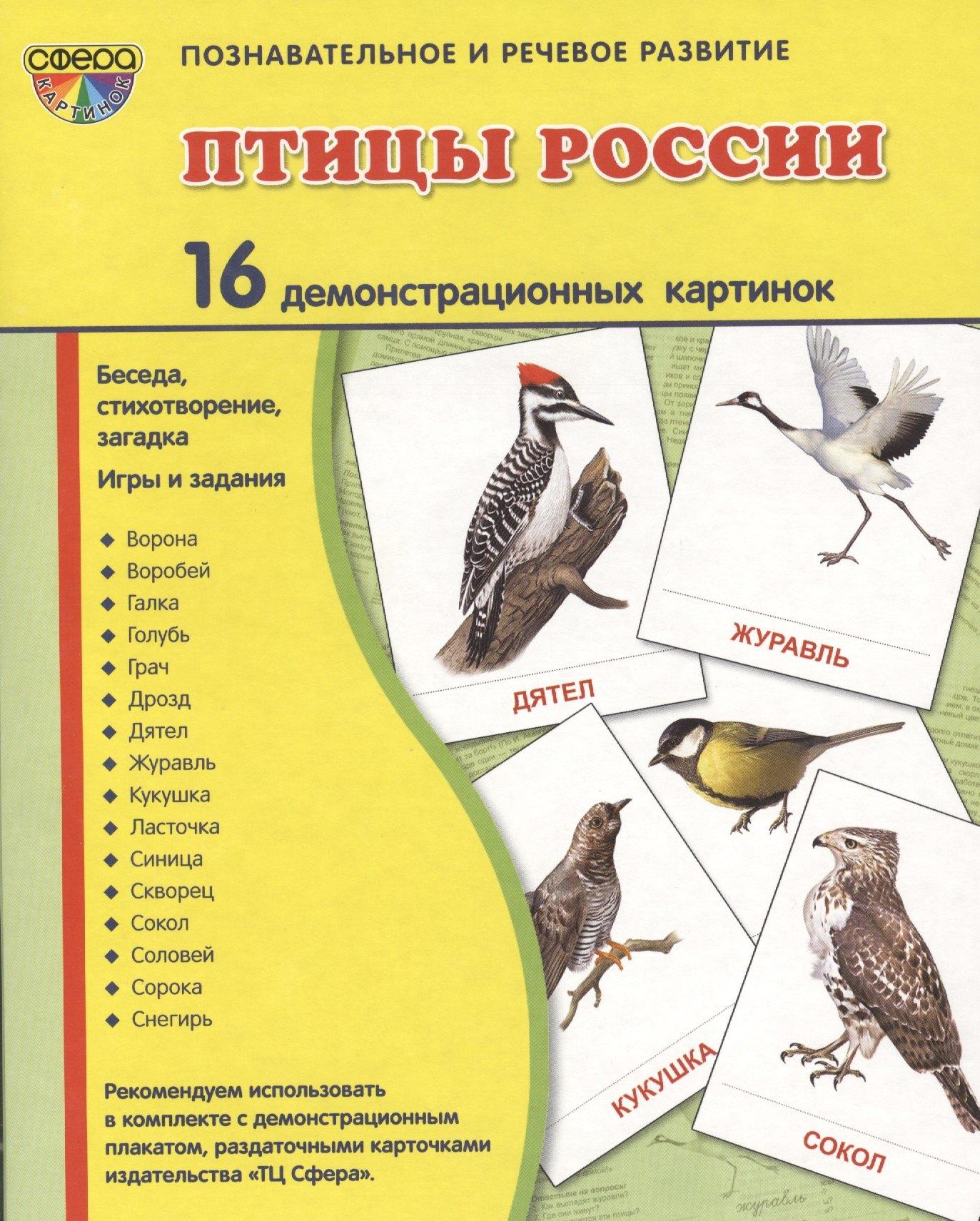 https://ndc.book24.ru/pim/products/images/5b/18/018ed946-f3ba-7881-8b32-65edf73e5b18.jpg