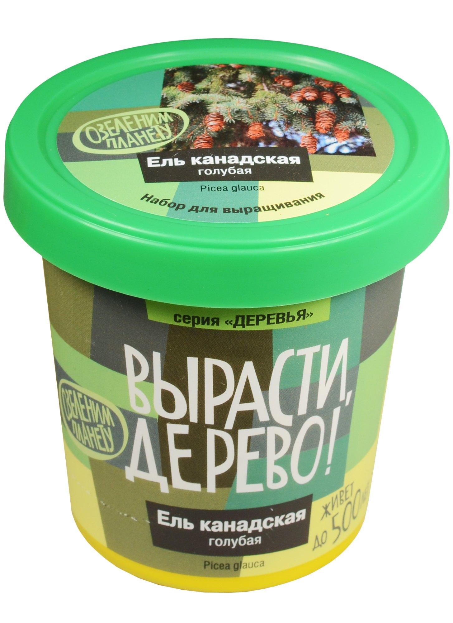 https://ndc.book24.ru/pim/products/images/61/4e/018edcee-25ad-7a55-8ade-3f1cd97a614e.jpg