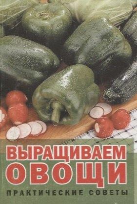 https://ndc.book24.ru/pim/products/images/61/b2/018ee524-26a0-7607-8b8b-599f890361b2.jpg