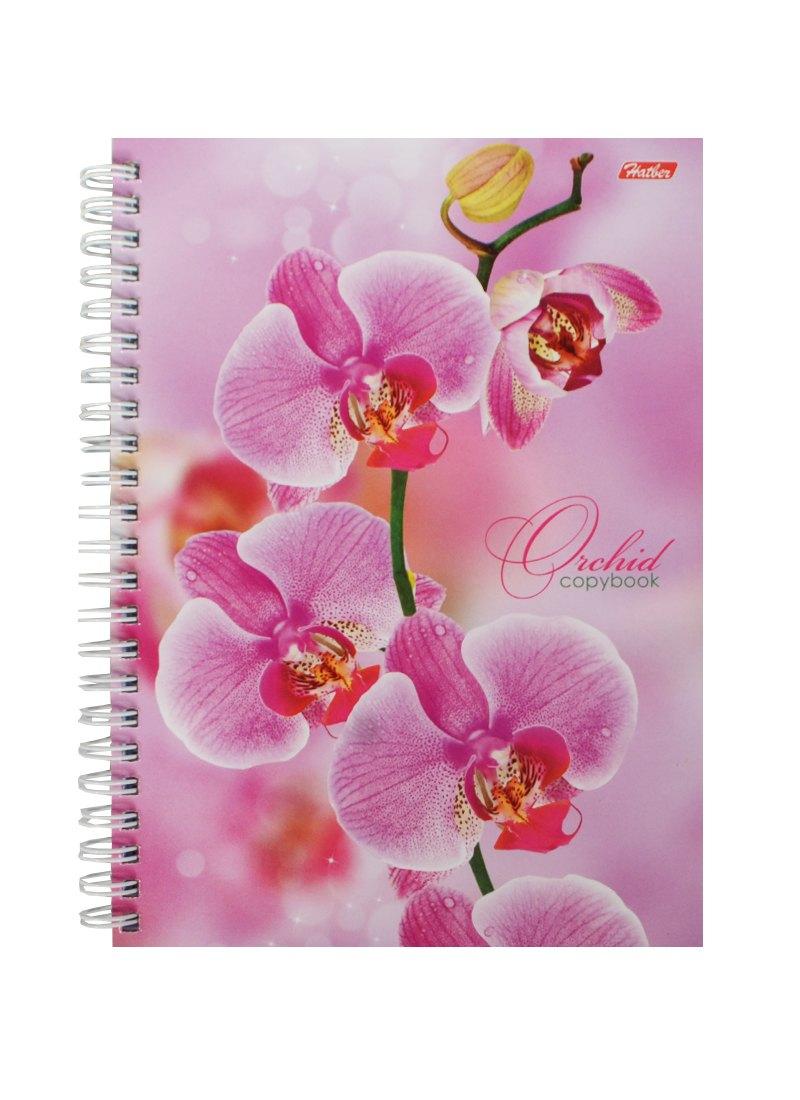 https://ndc.book24.ru/pim/products/images/72/ac/018ed305-8db3-7fe0-8380-97a1809272ac.jpg