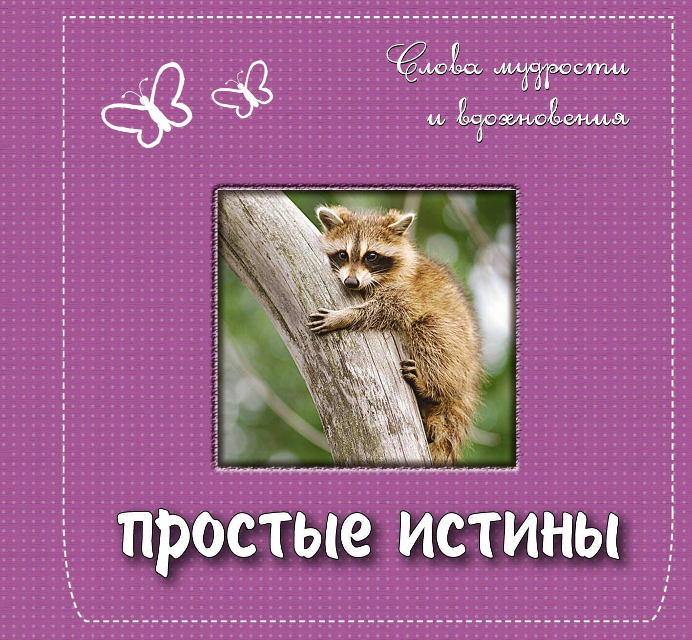 https://ndc.book24.ru/pim/products/images/79/25/01907d0a-6bd8-74d2-98a0-d15b6a557925.jpg