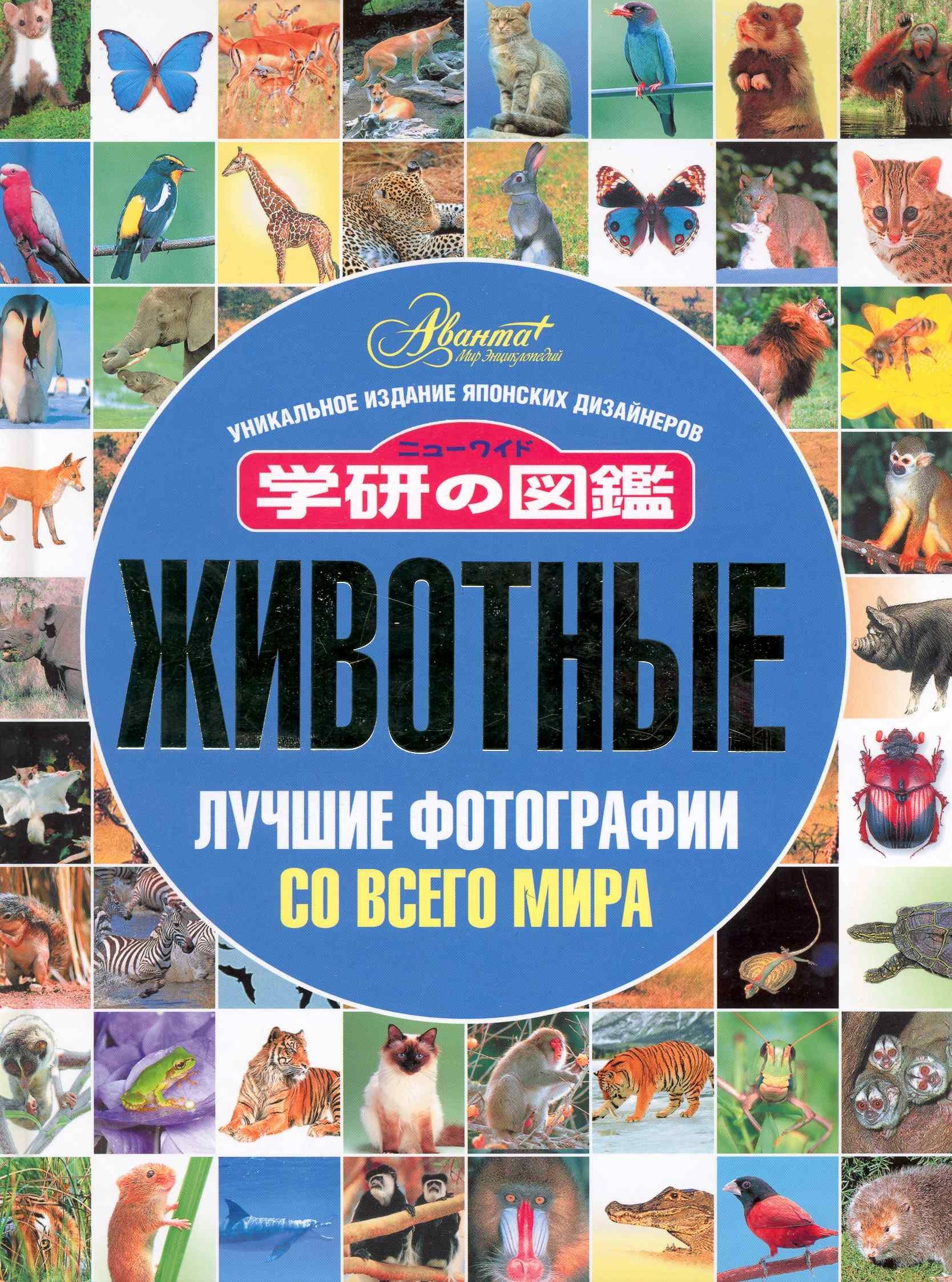 https://ndc.book24.ru/pim/products/images/7b/47/018ed6bd-f939-706f-8ec0-7eb7f3c27b47.jpg