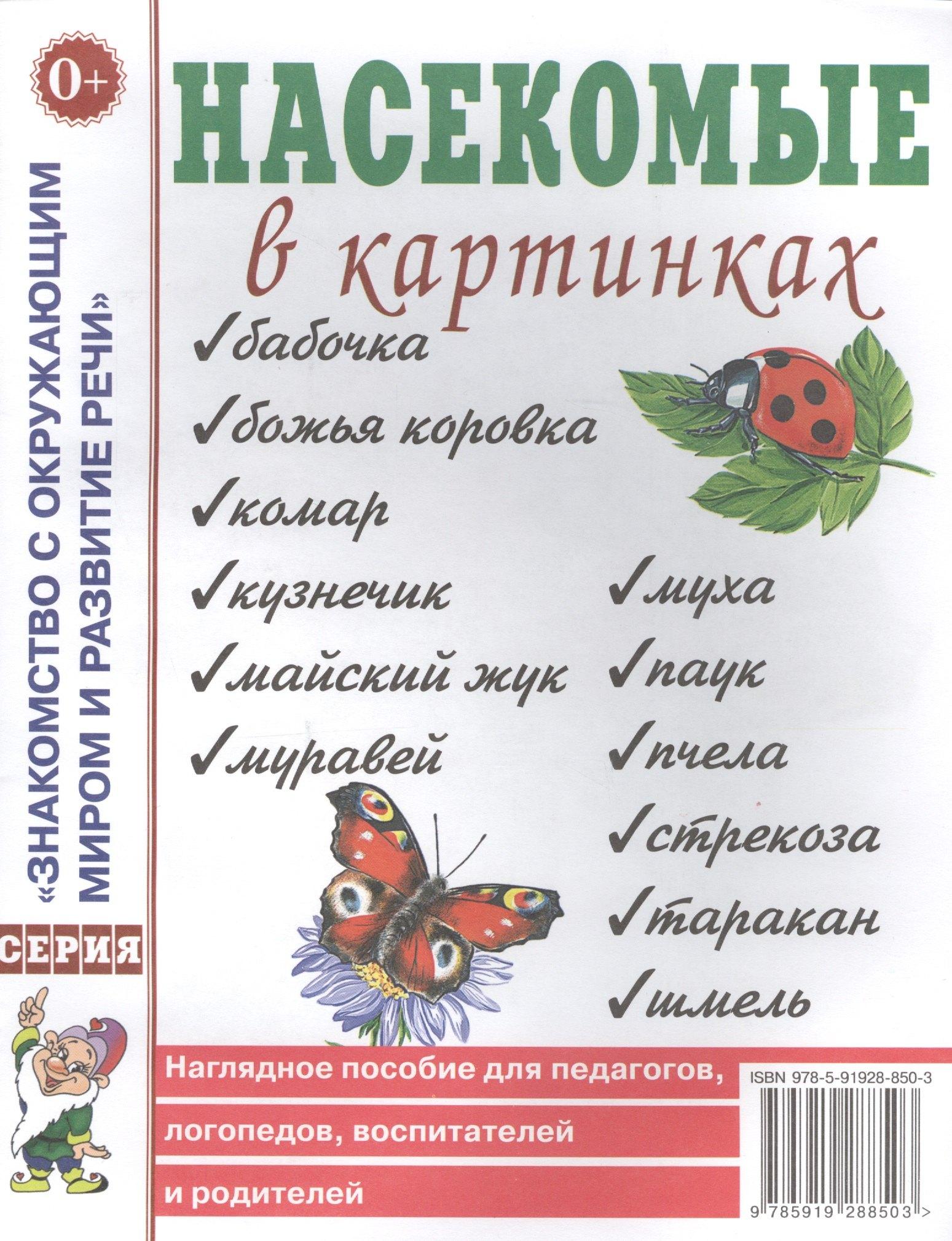 Гном | Насекомые в картинках. Наглядное пособие для педагогов, логопедов, воспитателей и родителей