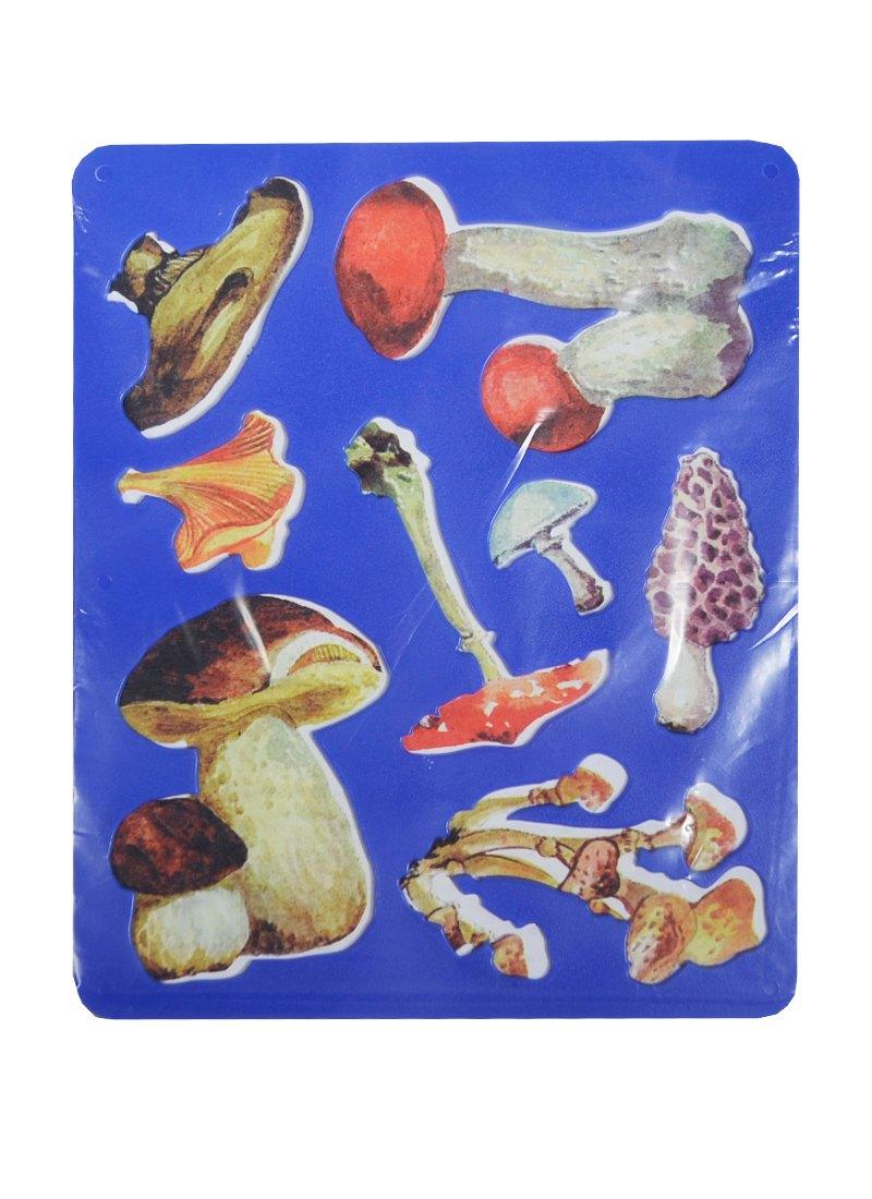 https://ndc.book24.ru/pim/products/images/89/6e/018eda0b-944f-7409-aab3-c9681fd1896e.jpg