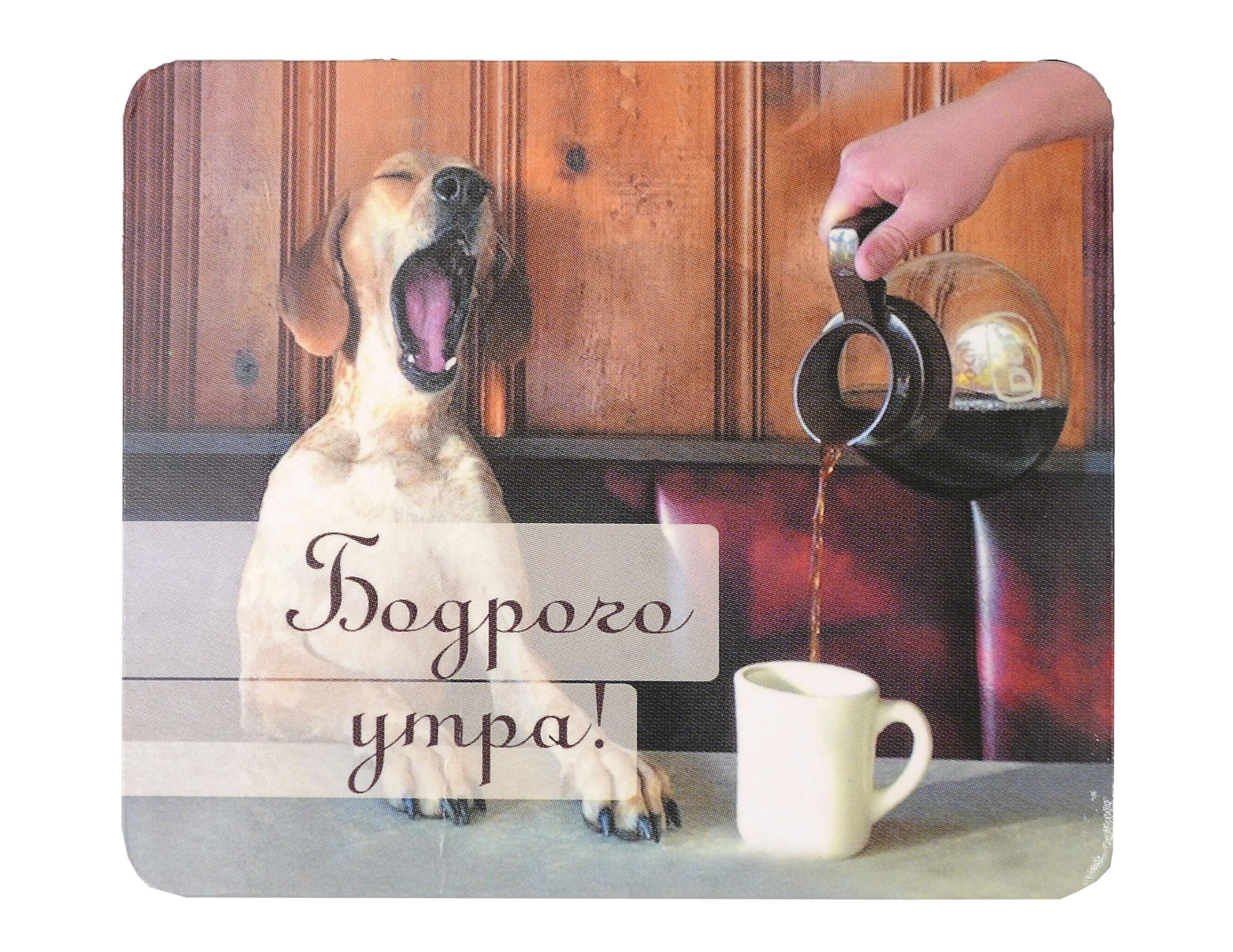 https://ndc.book24.ru/pim/products/images/89/a1/019c0a46-5c0d-7774-8aa7-f05241f789a1.jpg