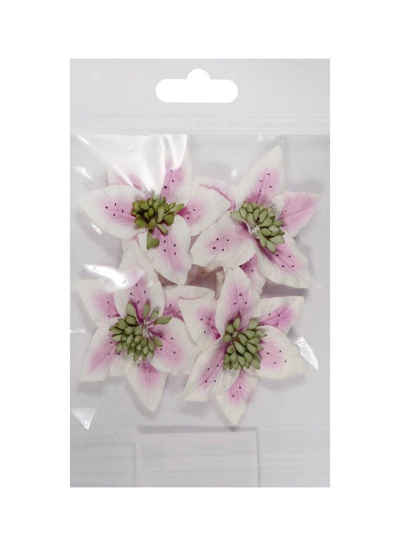 https://ndc.book24.ru/pim/products/images/89/cd/018edb9a-dc91-73fd-ae32-8113b6d289cd.jpg