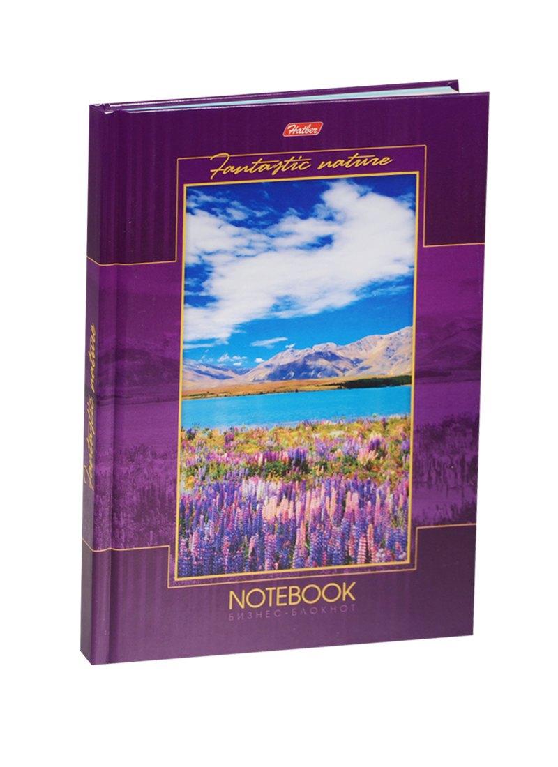 https://ndc.book24.ru/pim/products/images/8e/a2/018ed30b-eaba-7f4d-bdec-9bb396d68ea2.jpg