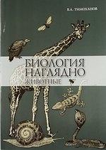 https://ndc.book24.ru/pim/products/images/90/a1/018ed836-aad9-778a-b561-4d2cb51190a1.jpg
