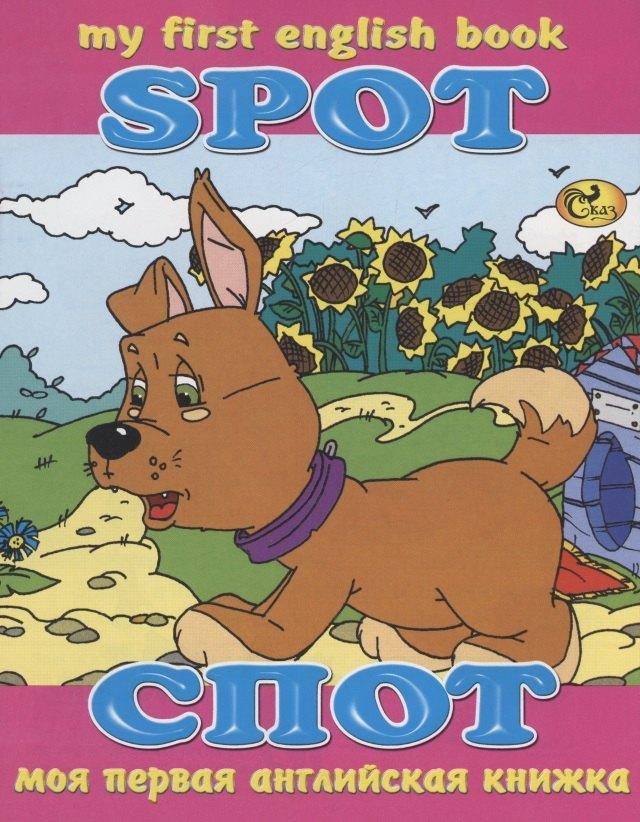 Сказ | Спот / Spot