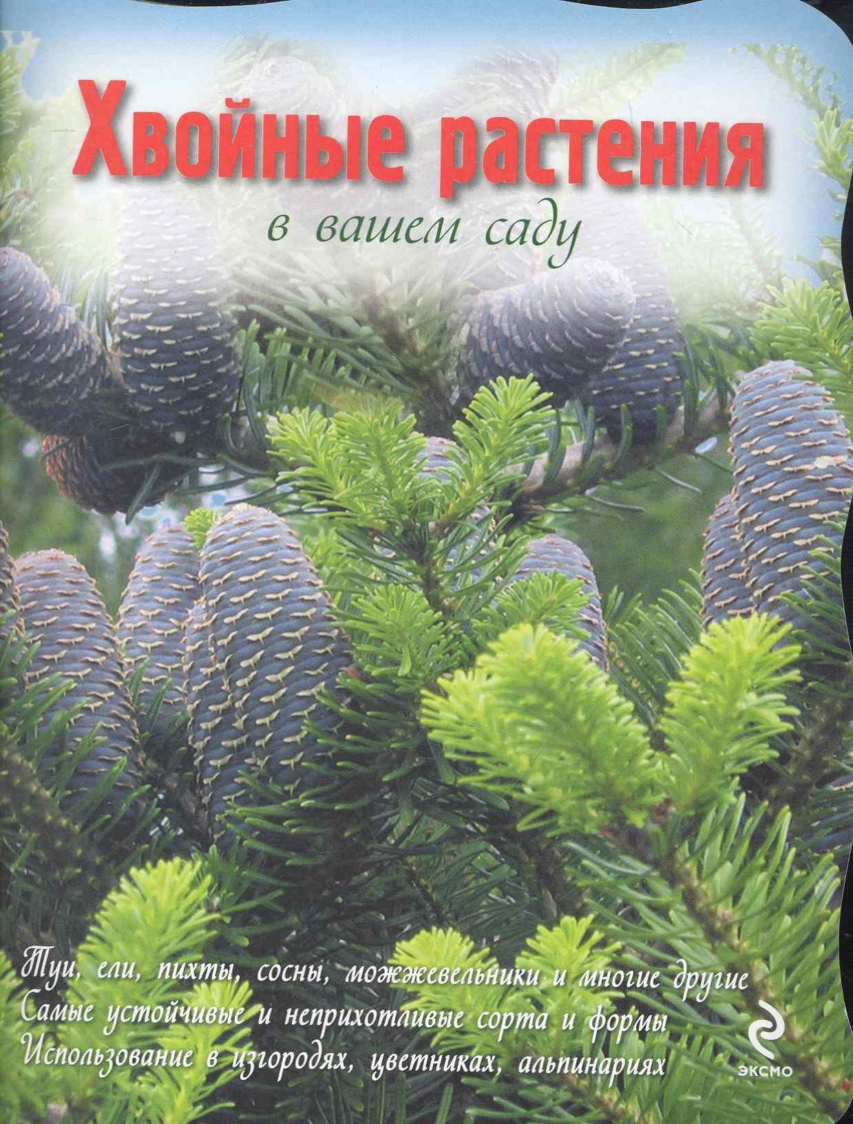https://ndc.book24.ru/pim/products/images/97/3a/018ed725-61ee-71e5-a338-96f1a9a0973a.jpg