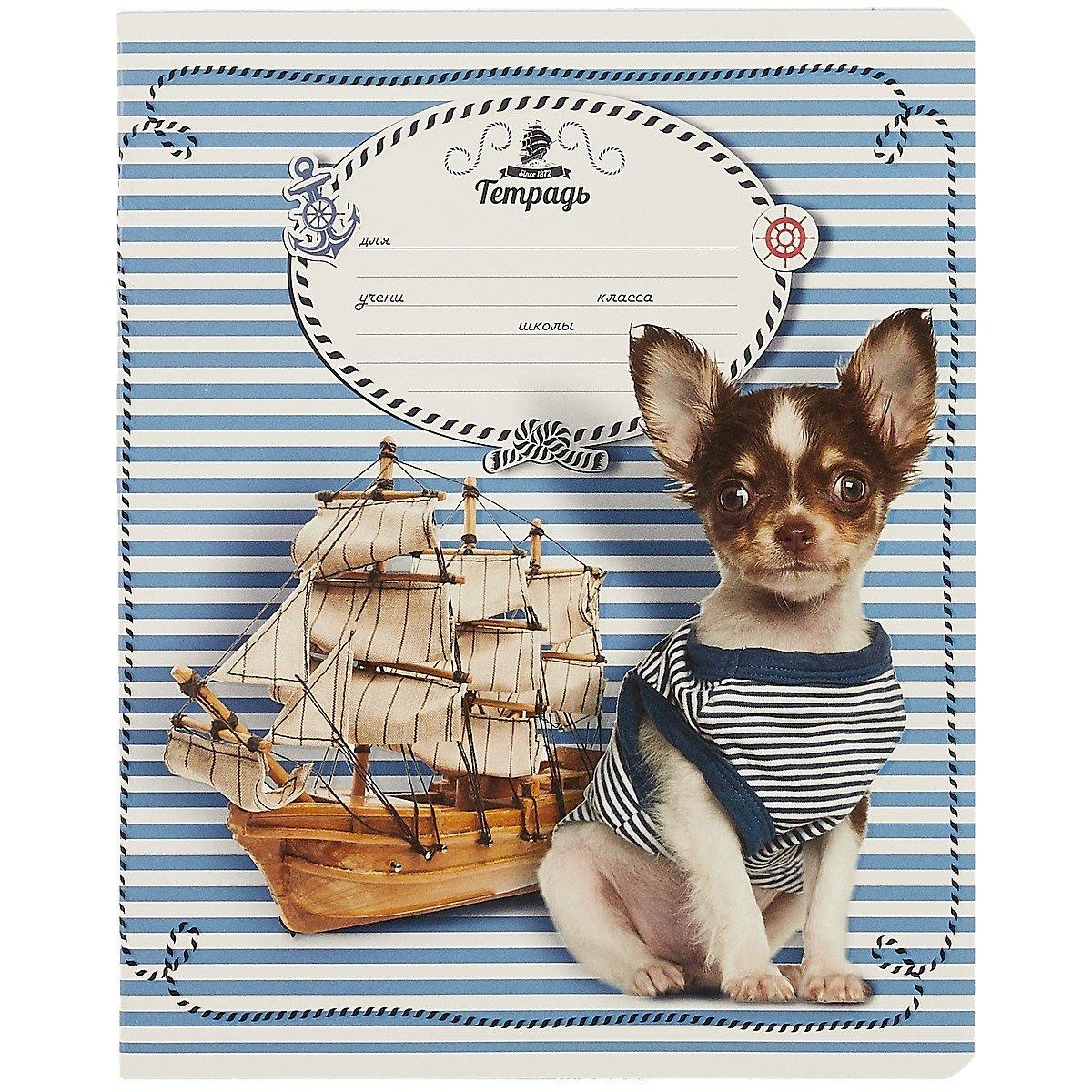 https://ndc.book24.ru/pim/products/images/97/b1/018ed372-1372-7d5c-b759-adcbe07e97b1.jpg