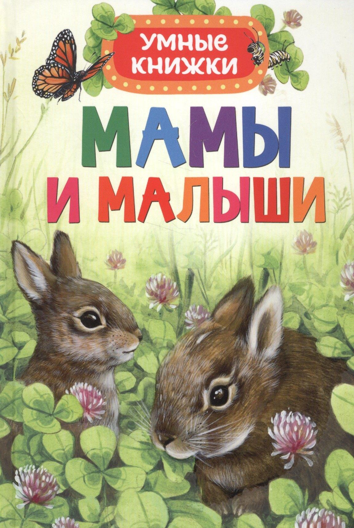 https://ndc.book24.ru/pim/products/images/9b/92/018eddc8-0f5d-76f3-abdd-1a961b5a9b92.jpg
