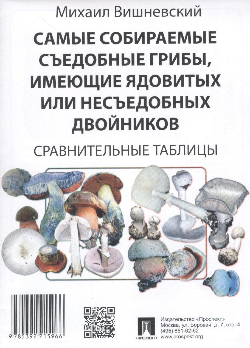 Проспект | Самые собираемые съедобные грибы, имеющие ядовитых или несъедобных двойников: Сравнительные таблицы